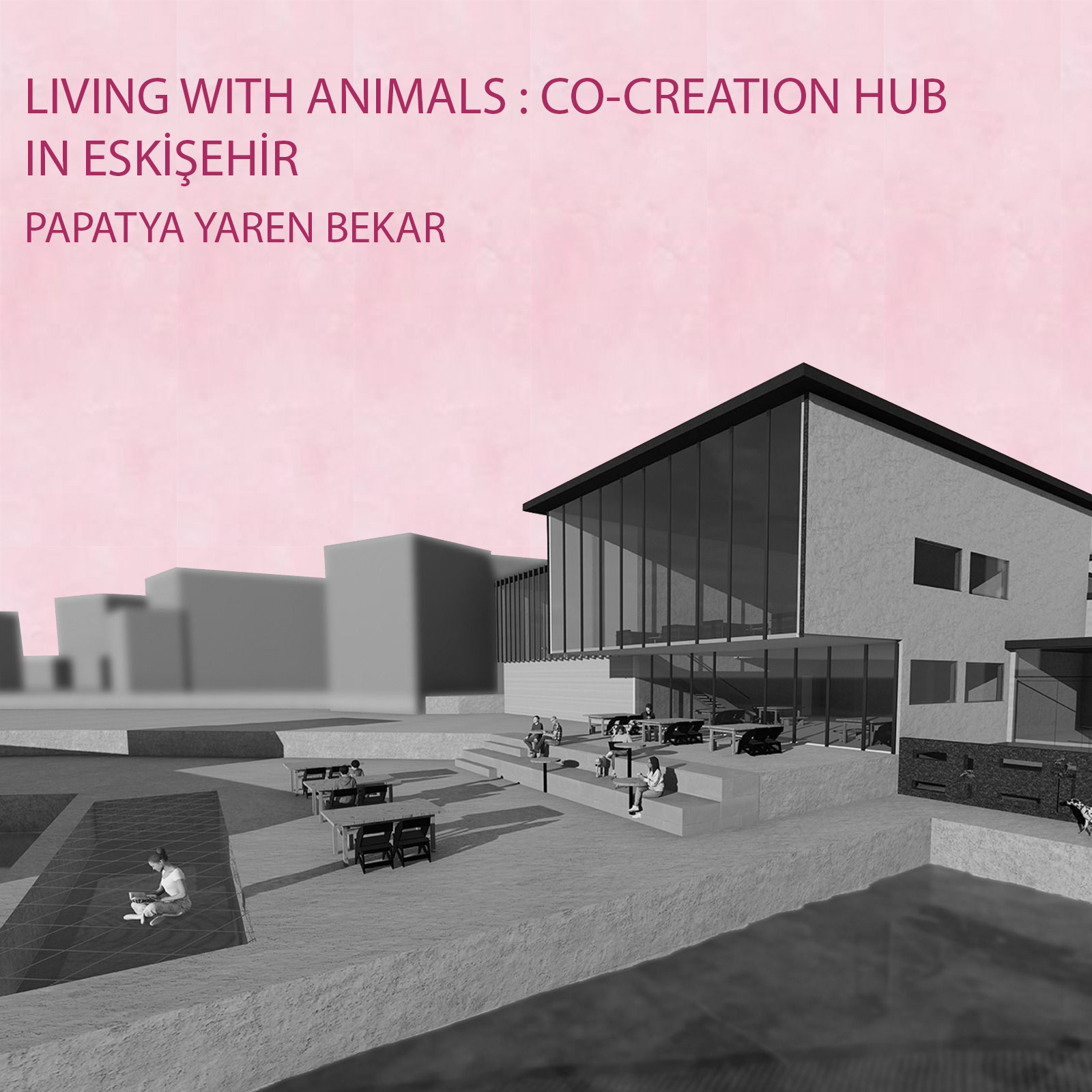 Living with Animals: Co-creation Hub in Eskişehir